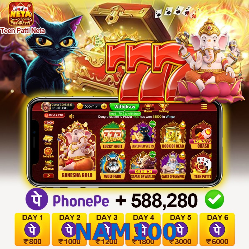NAM100