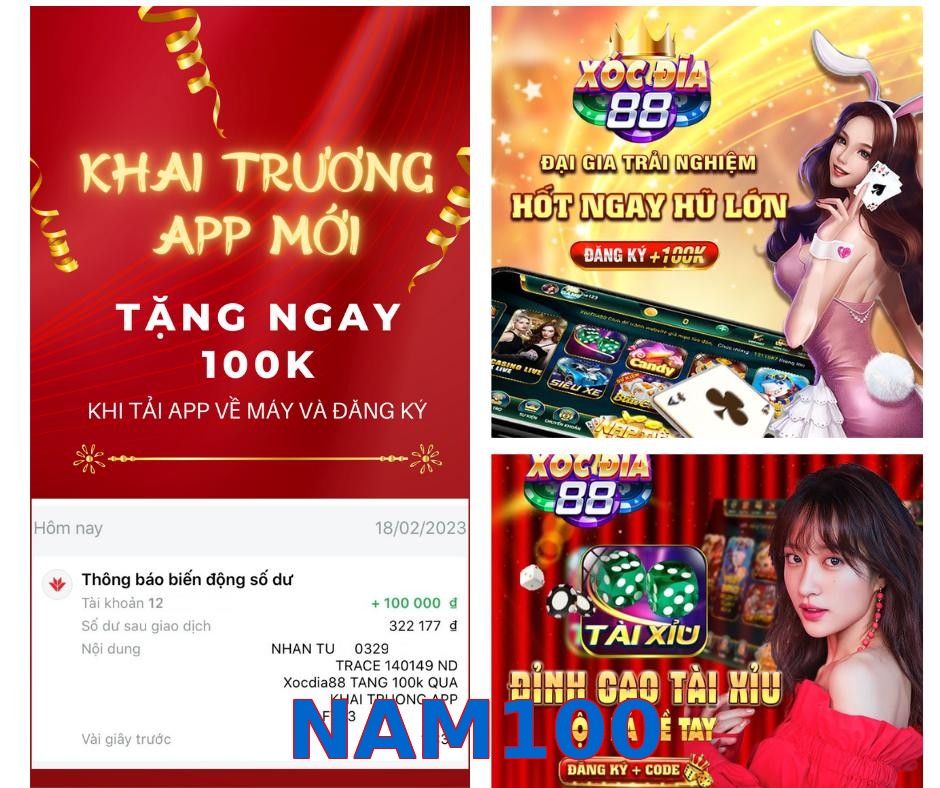 NAM100